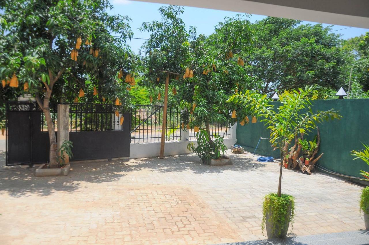 Restwell Homestay دامبولا المظهر الخارجي الصورة